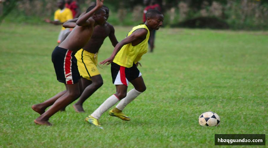 zoty中欧官方网站💥🎯 直播互动，全民参与！